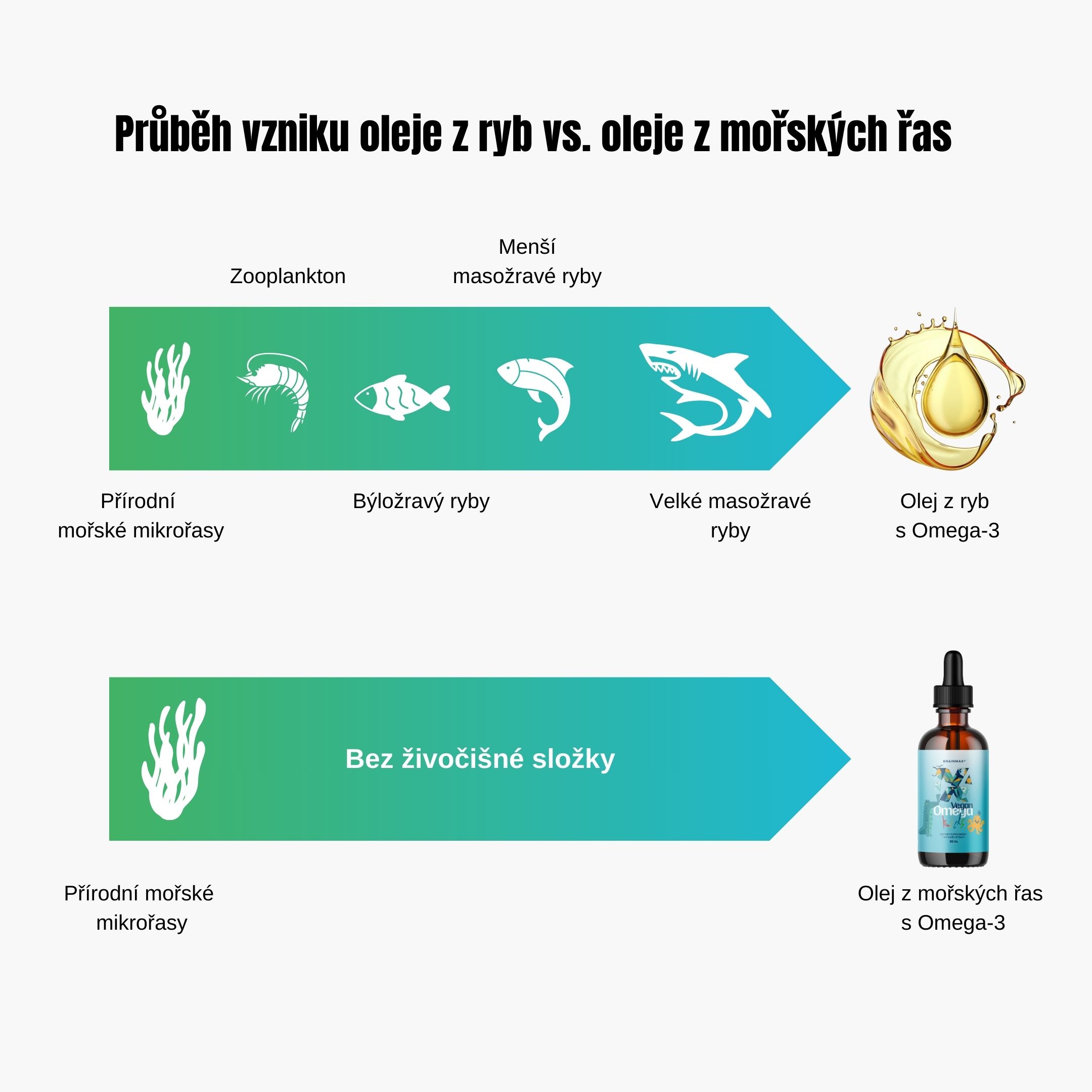 (cehă) Formarea petrolului